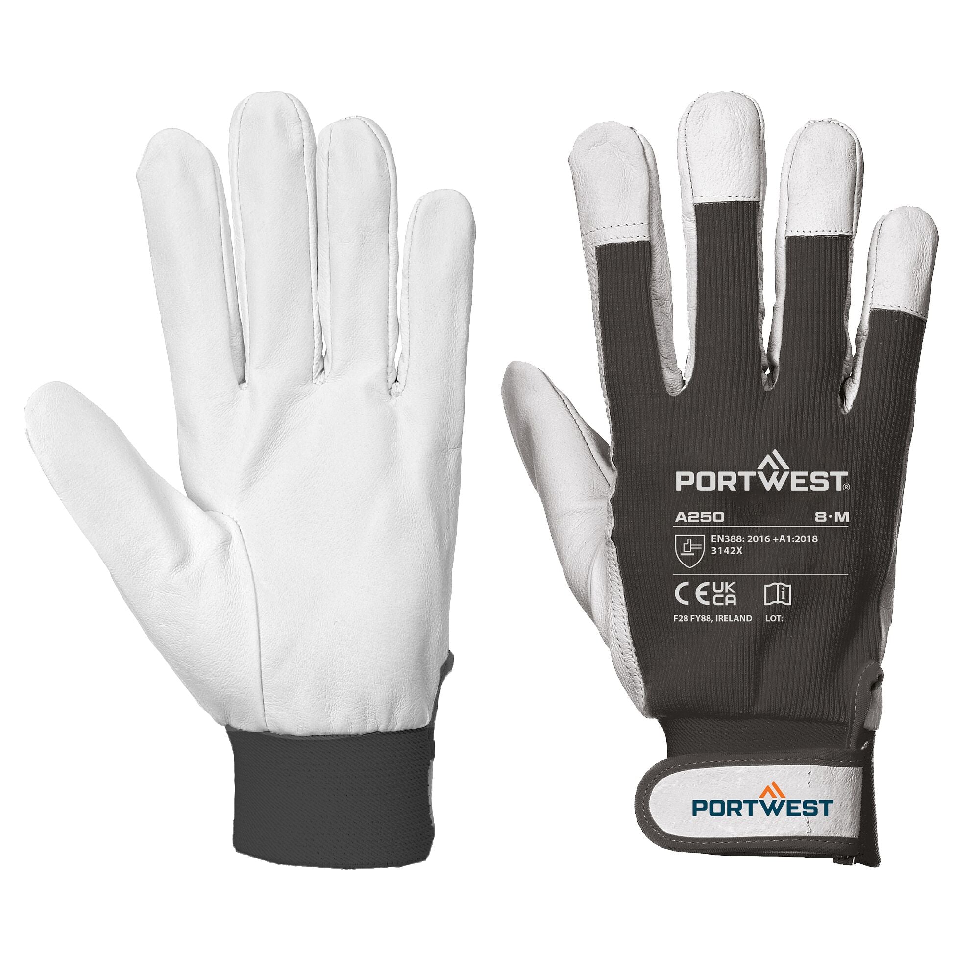 Tergsus Handschoen - Zwart