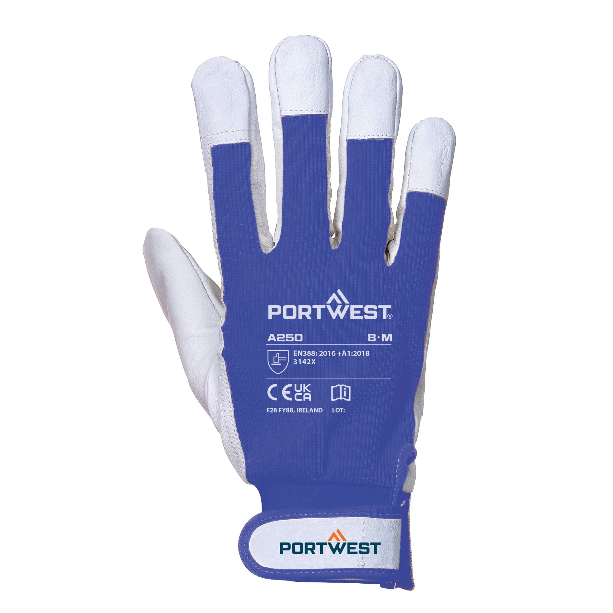 Tergsus Handschoen - Blauw - achterkant