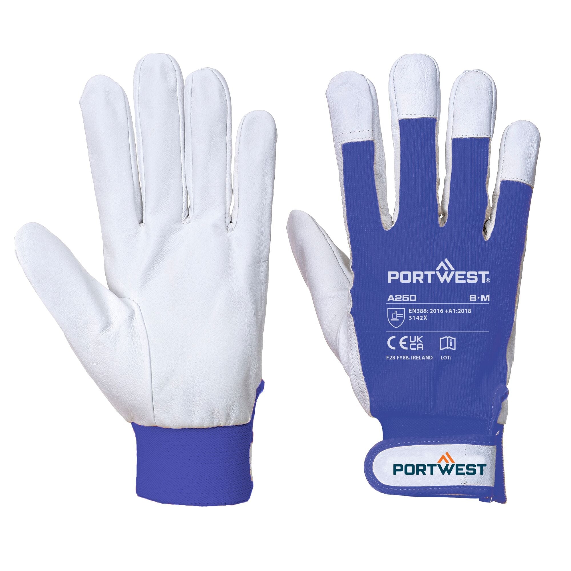 Tergsus Handschoen - Blauw