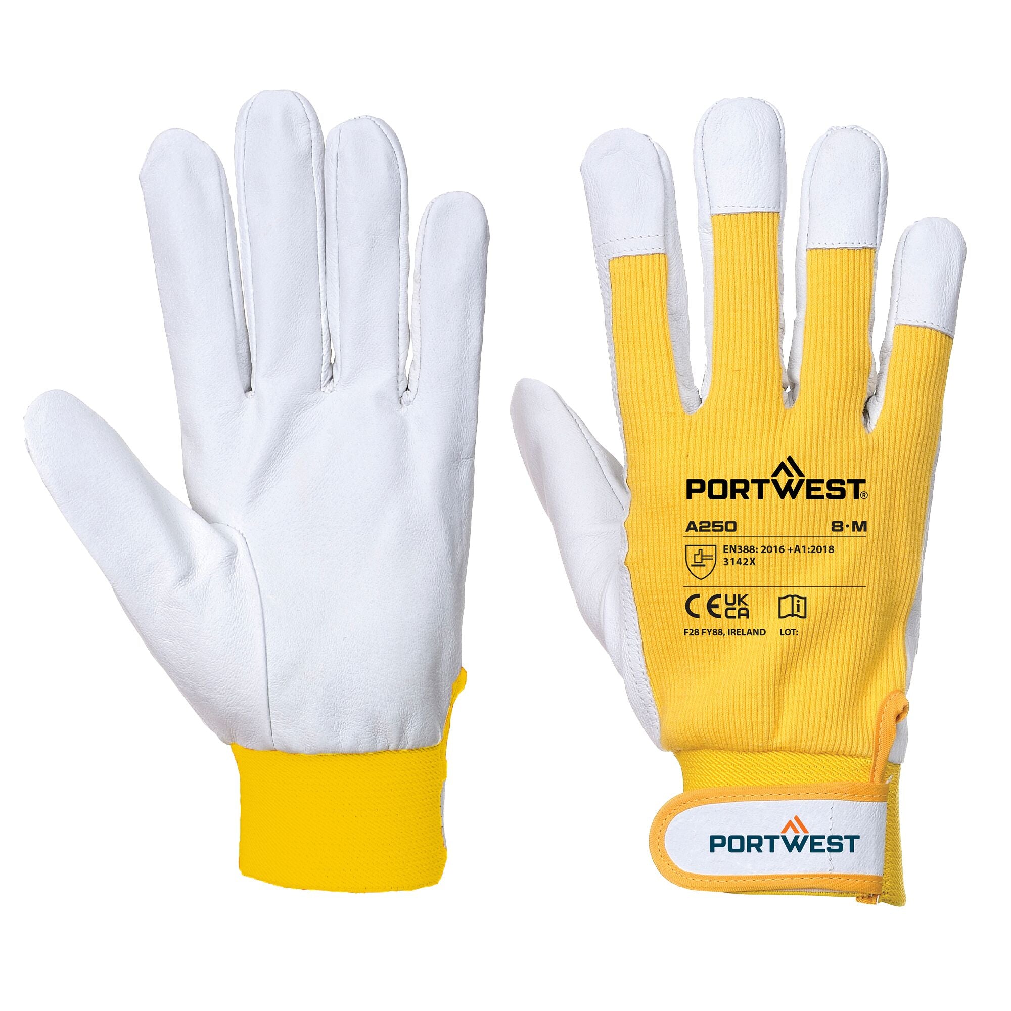 Tergsus Handschoen - Geel